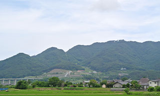 森林セラピーの写真1